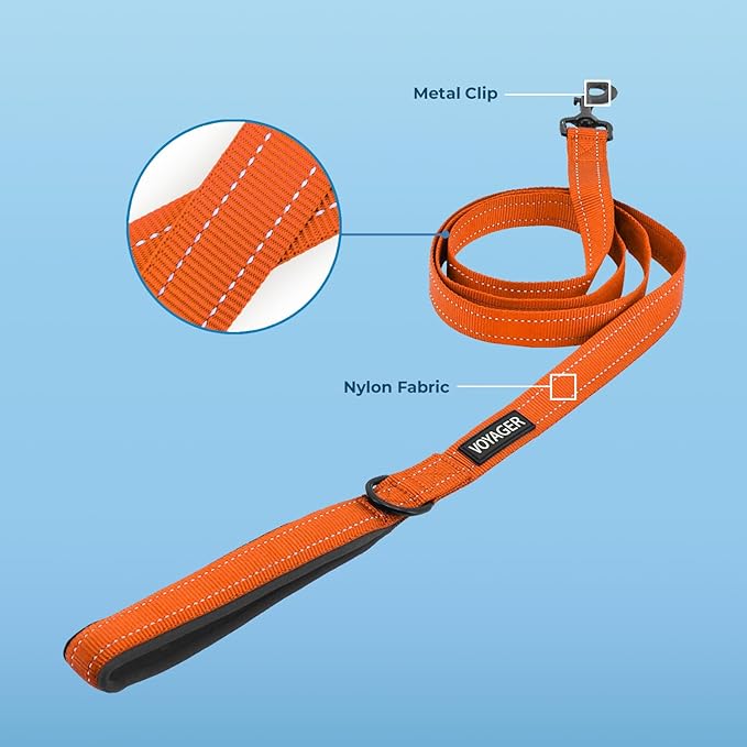 Voyager Reflective Dog Leash with Neoprene Handle, 5ft Long, Supports Small, Medium, and Large Breed Puppies, Cute and Heavy Duty for Walking, Running, and Training - Orange (Leash), S