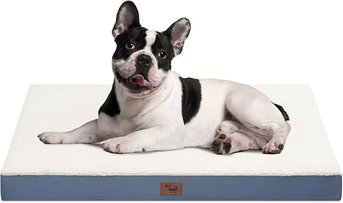 Orthopedic Dog Bed for Medium Dogs - Waterproof & Machine Washable with Egg Crate Foam, Removable Deluxe Plush Cover, 30x20 Inch, Blue White