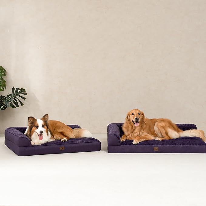 EHEYCIGA Memory Foam Dog Bed Large Sized Dogs, Waterproof Dog Bed Orthopedic with Washable Removable Cover, Non-Slip Pet Bed Couch, 36x27x6 Inches, Purple