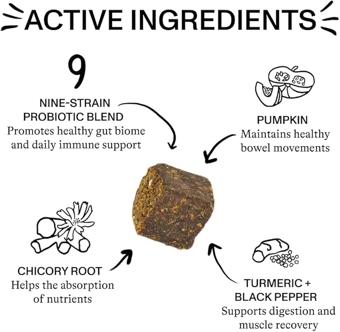 Spot & Tango Probiotics Supplements for Dogs - Vet-Approved for Healthy Digestion and Balanced Gut - Pumpkin, Turmeric, Chicory Root, Black Pepper, Nine-Strain Probiotic Blend, 56 Count