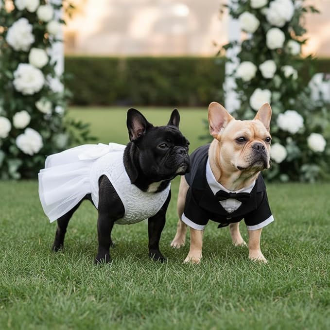 ASENKU Dog Dress Pet Wedding Dress Princess Lace Puppy Birthday Party Outfit Formal Apparel Girl for Small Medium Dogs Cats (Large, White)