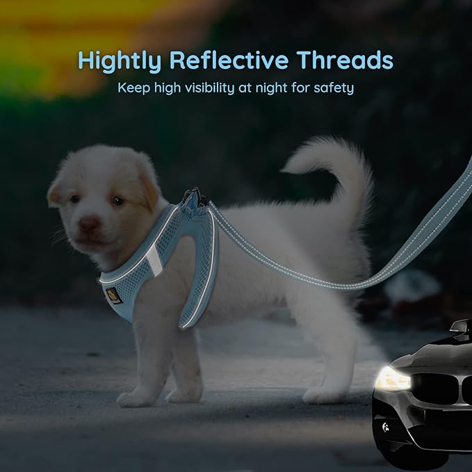 BELLA & PAL Step in Vest Harness for Small and Medium Dogs, No Pull Small Dog Harness with Leash Set, Comfortable Air Mesh Dog Vest Harness with Reflective Strip (Sky Blue, L)