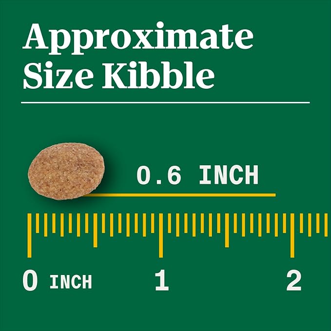 Nutro Natural Choice Adult Large Breed Dry Dog Food, Chicken and Brown Rice Recipe, 13 lbs.