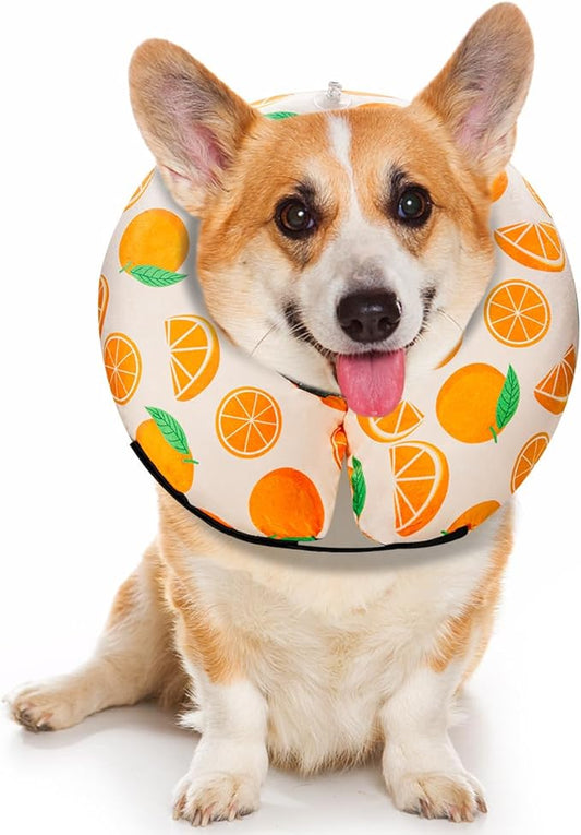 MIDOG Inflatable Dog Cone Alternative for After Surgery - Soft Protective Donut Collar Prevents Licking, Comfortable Recovery E-Collar Alternative for Small Medium Large Dogs (Orange,S)