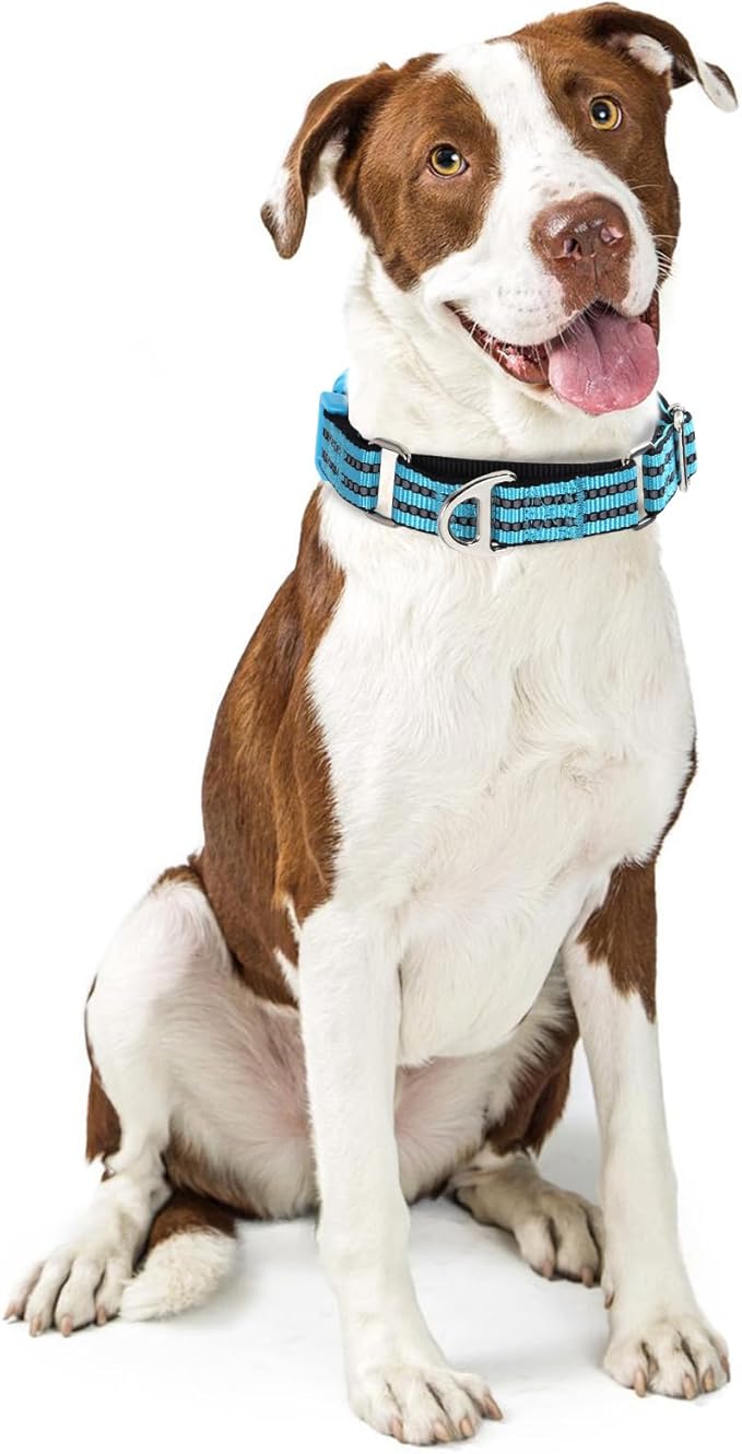 Martingale Collar for Dogs -Reflective Nylon No Slip Choke with Padded Comfort Heavy Duty Dog Collar with Quick Release Buckle for Training, Walking & Overexcited Pulling Blue L