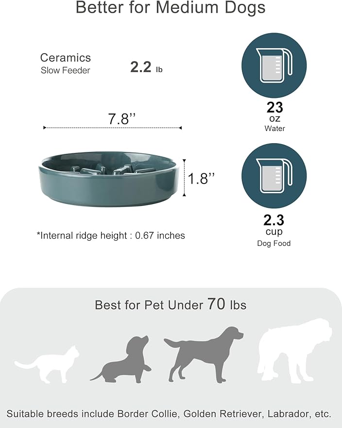 Ceramic Maze Dog Slow Feeder with Non-Slip Silicone Rim – Heavy-Duty Stoneware Bowl with Puzzle Pattern for Bloating & Obesity Prevention (Blue-M)