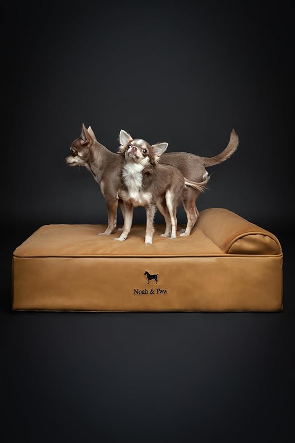 NOAH & PAW Dog Bed, 28x23x7.5 Inch, Orthopedic Dog Beds for Medium Size Pets, Eggshell Memory Foam Infused with Cooling Gel, Waterproof, Machine Washable, Includes Inner Cover (Faux Leather)