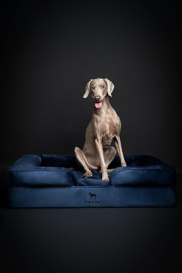 NOAH & PAW XL Dog Bed, 45x35x11 Inch, Orthopedic Large Dog Beds, Eggshell Memory Foam Infused with Cooling Gel, Inner Cover, Waterproof, Machine Washable (Velvet Sofa Collection)