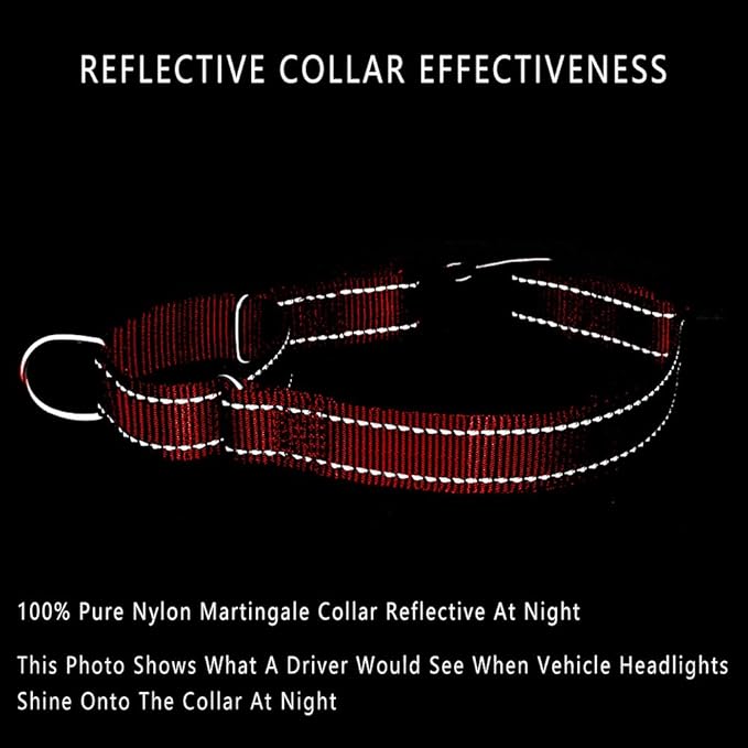 PLUTUS PET Reflective Martingale Collar with Quick Snap Buckle,No Pull Dog Choker Collar for Small Medium Large Dogs,S,Red