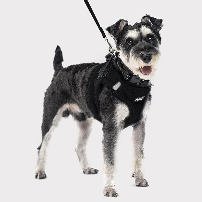 PUPTECK Adjustable Dog Harness Collar and Leash Set Step in No Pull Pet Harness for Small Medium Dogs Puppy and Cats Outdoor Walking Running, Soft Mesh Padded Reflective Vest Harnesses, Black S