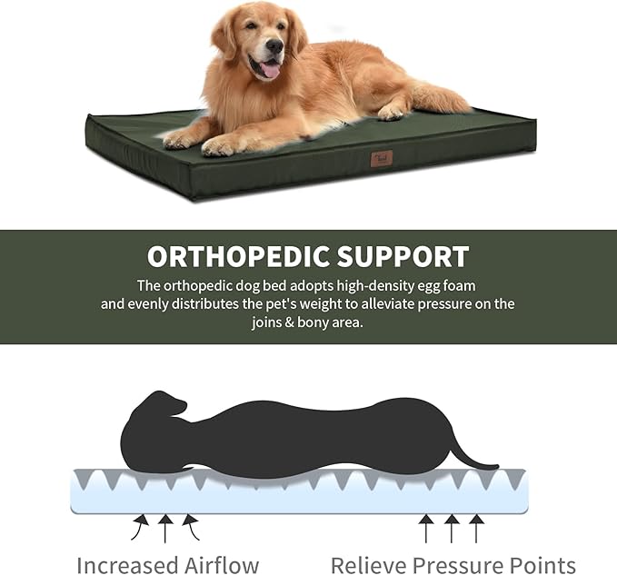 Waterproof Outdoor Orthopedic Dog Bed - All Weather Medium Pet Bed with Egg Crate Foam, Removable Washable Cover, 30x20 Inch, Dark Green