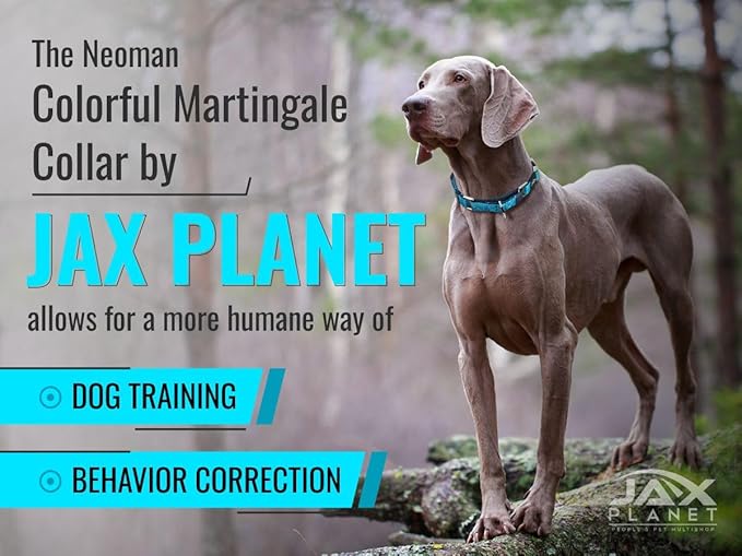 Black Martingale Collar for Dogs - Heavy Duty Nylon Pet Collars for Escape-Free, No Pull Training & Walking with Alloy Metal Release Buckle & Reflective D Ring, One Time Adjustment, Safe & Secure, L