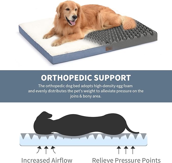 Orthopedic Dog Bed for Medium Dogs - Waterproof & Machine Washable with Egg Crate Foam, Removable Deluxe Plush Cover, 30x20 Inch, Blue White