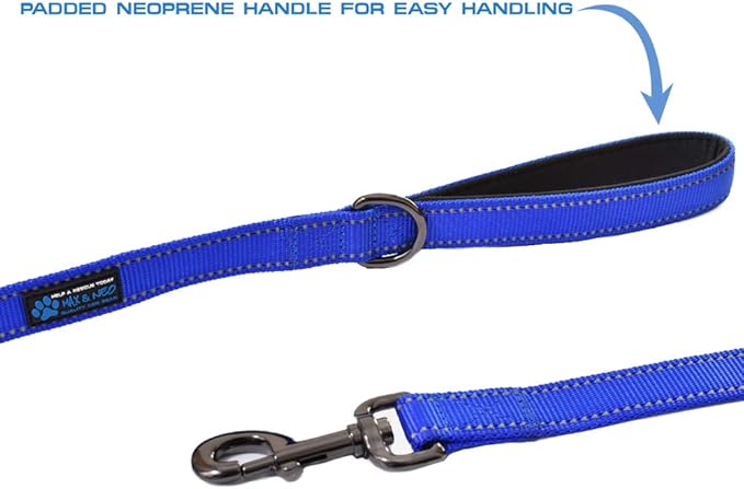 Max and Neo™ Double Handle Traffic Dog Leash Reflective - We Donate a Leash to a Dog Rescue for Every Leash Sold (Blue)