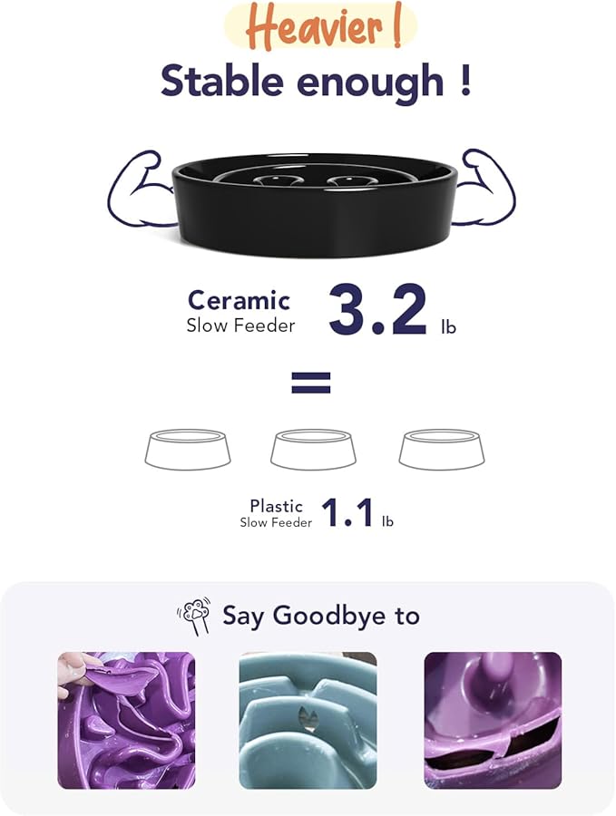 LE TAUCI Dog Bowls Slow Feeder Ceramic, 1.5 Cups Slow Feeding Dog Bowl Small Medium Breed, Puppy Bowl for Fast Eaters,Skull Black