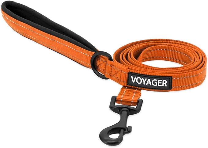 Voyager Reflective Dog Leash with Neoprene Handle, 5ft Long, Supports Small, Medium, and Large Breed Puppies, Cute and Heavy Duty for Walking, Running, and Training - Orange (Leash), L