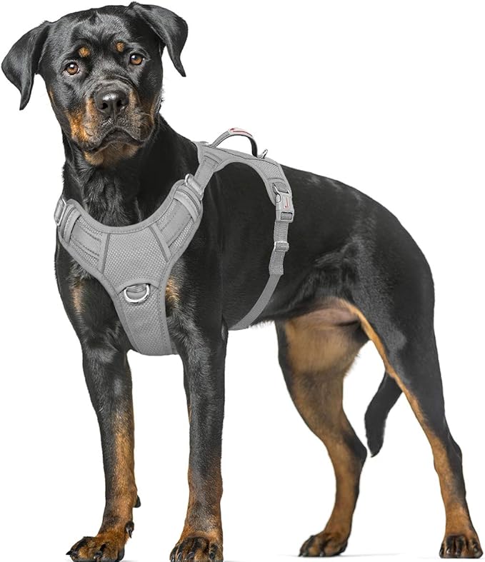 BARKBAY No Pull Dog Harness Large Reflective Dog Harness with Front Clip and Easy Control Handle for Walking Training Running with ID tag Pocket(Grey,XL)