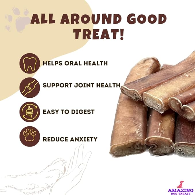 Amazing Dog Treats - 6 Inch Extra Thick Bully Sticks (50 Count) - Bulk Bully Sticks for Dogs - No Hide Bully Stick Dog Bones