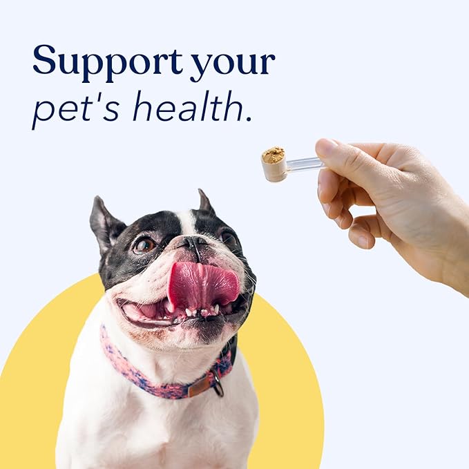 Honest Paws Turkey Tail Mushroom for Dogs - Digestive and Immune Support - Shiitake, Reishi, Maitake Mushroom Supplement Powder for Dogs - No Filler, No Additives - (30 Scoops)