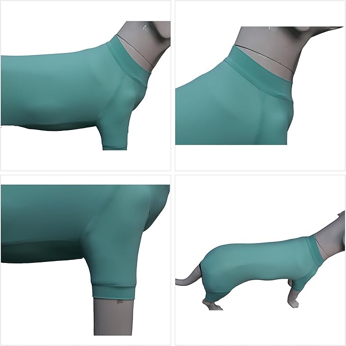LoveLongLong Dog Jumpsuit with UV Protection and Quick-Dry Fabric for Spring Summer Pet Pajamas Turquoise M