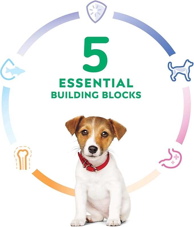 Hill's Science Diet Puppy, Puppy Premium Nutrition, Small Kibble, Dry Dog Food, Chicken & Brown Rice, 4.5 lb Bag