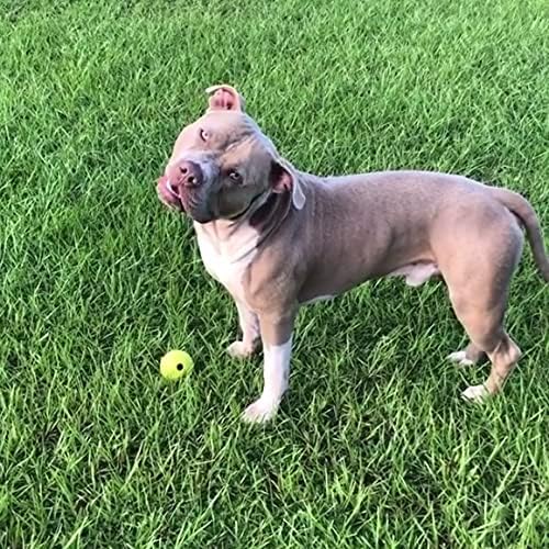 Chew King Supreme Rubber Fetch Balls - Extremely Durable Natural Rubber Toy, 2.5 inch, Yellow (CM-10066-CS01)