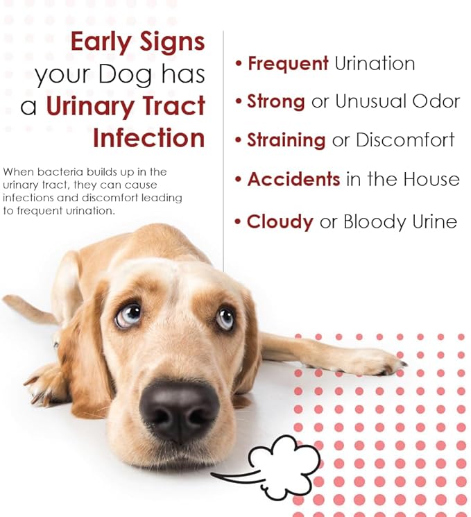 Cranberry D-Mannose Urinary Tract Support Supplement for Cats and Dogs - Cranberry Extract, D-Mannose, Vitamin C - Bladder and UTI Treatment - Made in USA - 120 Soft Chews