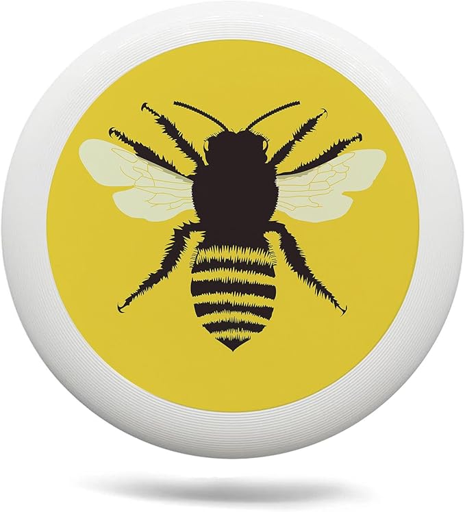 Phoenix Outdoor Flying Disc Fire Phoenix Black Ultimate Disc 175g for Boys Girls Men Women Birthday Christmas