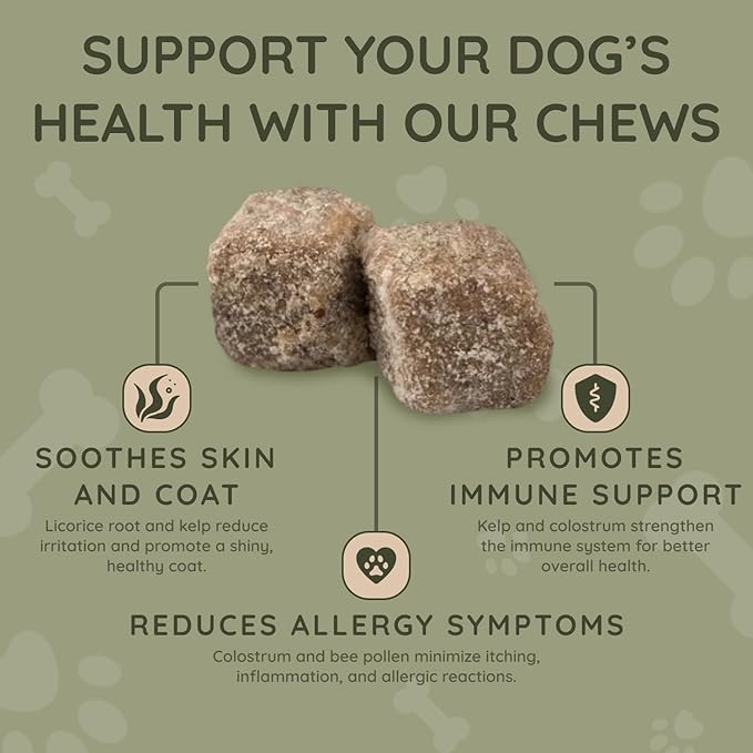 Asher House Wellness Dog Allergy Chews - All-Natural Itchy Skin Relief for Dogs with Bee Pollen, Colostrum - Licking Paw Treatment, Allergy Medicine for Dogs Over 12 Weeks, 120 Chews