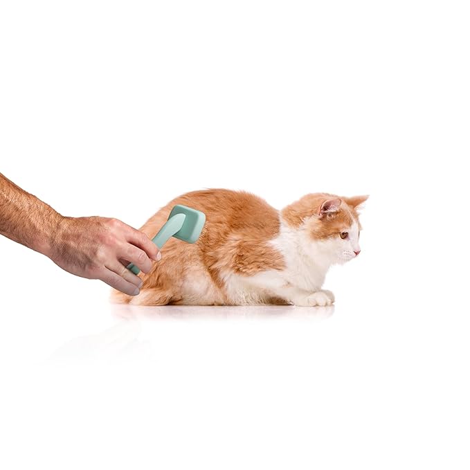 Dog Grooming Slicker Wire Brush: Designed for Long Haired Dog Breeds - Dematting and Deshedding, Comfortable and Easy to Use, Ergonomic Handle - Small (Teal, Small)