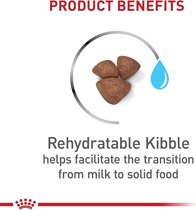 Royal Canin Size Health Nutrition Small Starter Mother & Babydog Dry Dog Food, 14 lb bag