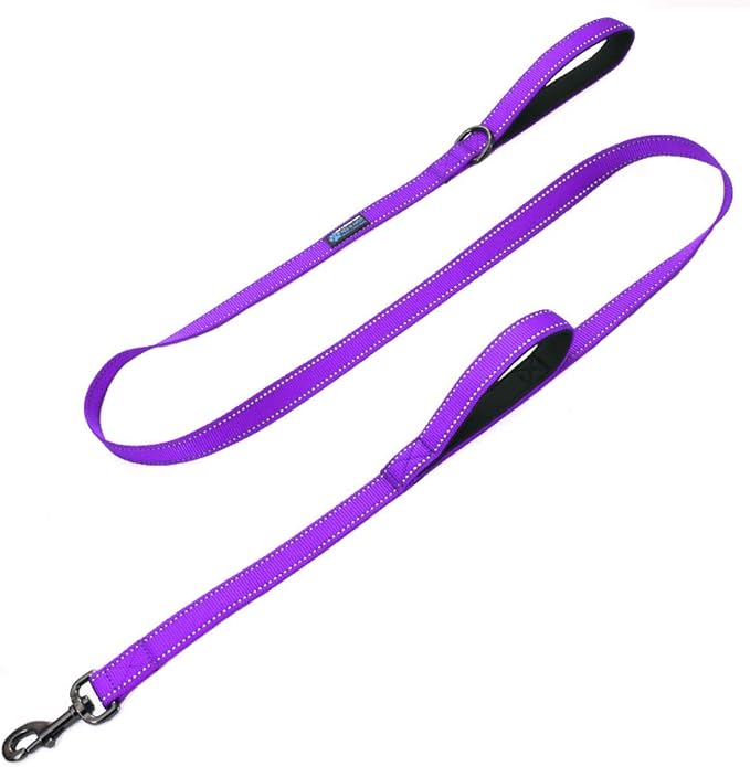 Max and Neo Double Handle Traffic Dog Leash - Reflective, Donates to Dog Rescue (Purple, 4 FT)