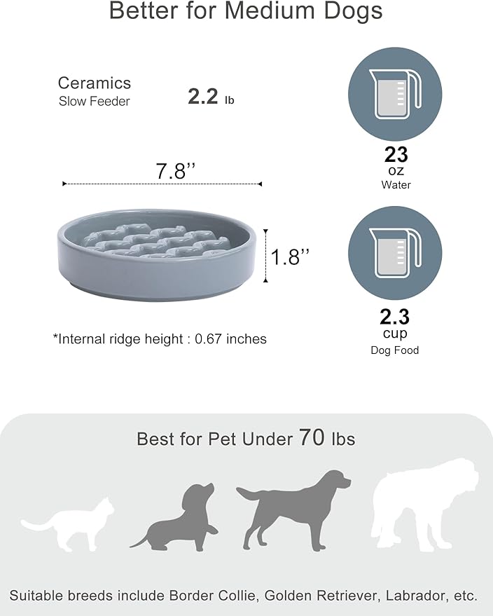 Ceramic Maze Dog Slow Feeder with Non-Slip Silicone Rim – Heavy-Duty Stoneware Bowl with Puzzle Pattern for Bloating & Obesity Prevention (Ice Blue-M)