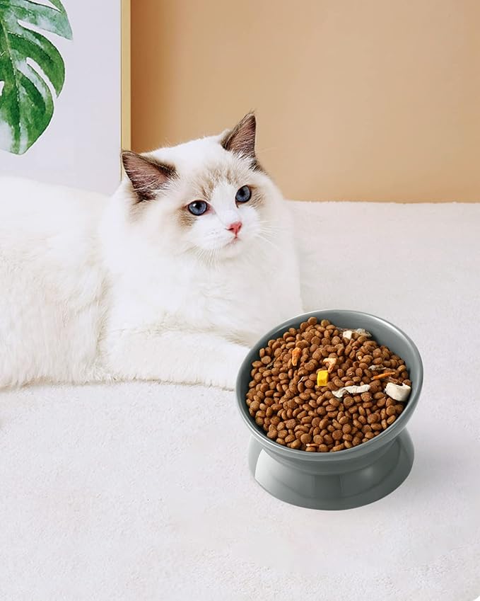 LoeJan Elevated Cat Food Bowl, 5 Oz Ceramic Raised and Tilted Water Bowl, Anti Vomiting and Protect Pets' Spines Dishes for Small Dog, Fat Faced Cat, Kitten (Gray, 1 Pack)