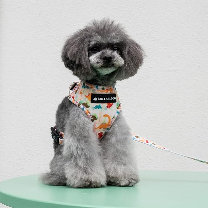 Dog Harness and Leash Set, Adjustable Dog Harness, Dog Leash, No Pull No Choke Puppy Harnesses for Walking Training for Small Medium Pet