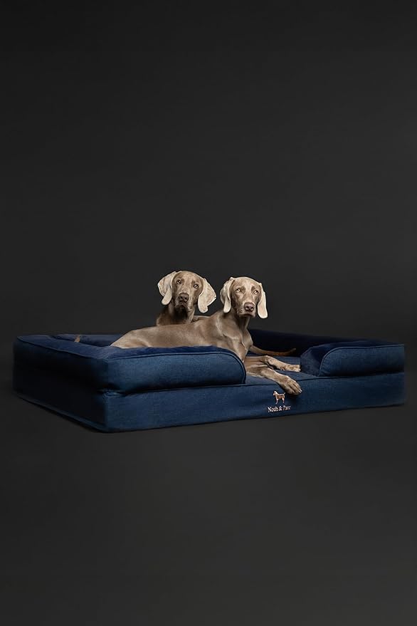NOAH & PAW Giant Dog Bed XXL, 55x45x11 Inch, Orthopedic Dog Beds, Eggshell Memory Foam Infused with Cooling Gel, Inner Cover, Waterproof, Machine Washable (Denim Sofa Collection)