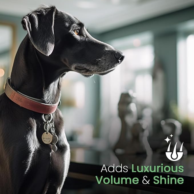 Best Shot UltraMAX Pro Conditioner, Hydrating Conditioner for Any Dog or Cat, Coat Release Technology, Sweet Pea Essence, 1.1-Gallon