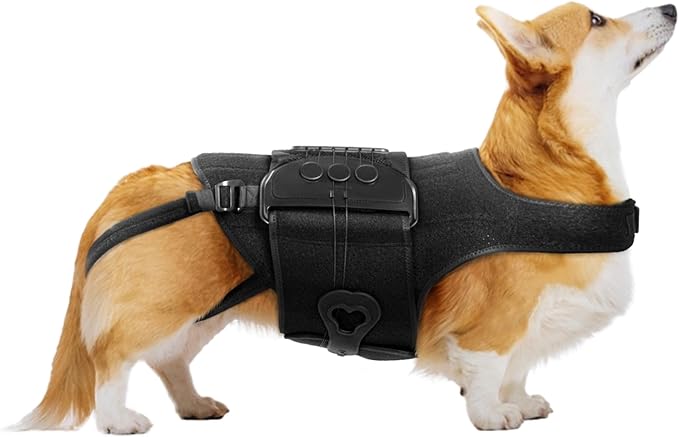 Dog Back Brace for IVDD, Arthritis, Slipped and Herniated Discs – Provides Back Support and Pain Relief, Stabilizes Spine for Surgical Recovery and Mobility, Dogs Back Disease Prevention(Black,M)
