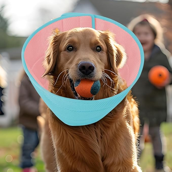 Soft Dog Cone Recovery Collars & Cones After Surgery for Medium Large Dogs, Comfy Ecollars to Stop Licking, Adjustable, Dog Ecollars for Recovery Plastic: Superior Support Fabric: Soft Comfort, XL