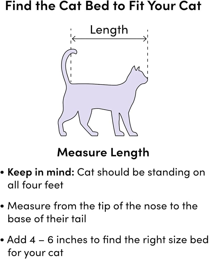 Cat Beds for Indoor Cats - Cat Bed Washable 24 inches, Dog Beds for Small Medium Dogs, Anti Anxiety Round Fluffy Plush Faux Fur Cat Bed, Thick Bottom (Light Green, Large 24" L x 24" W)