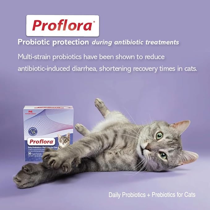 Probiotics for Cats-Complete Gut Health & Immune Support. Easy to Use Digestive Multi-Strain Probiotics. Easier Diet Transitions, Healthier Skin & Coat & Helps Treat Diarrhea. 30 Packets.
