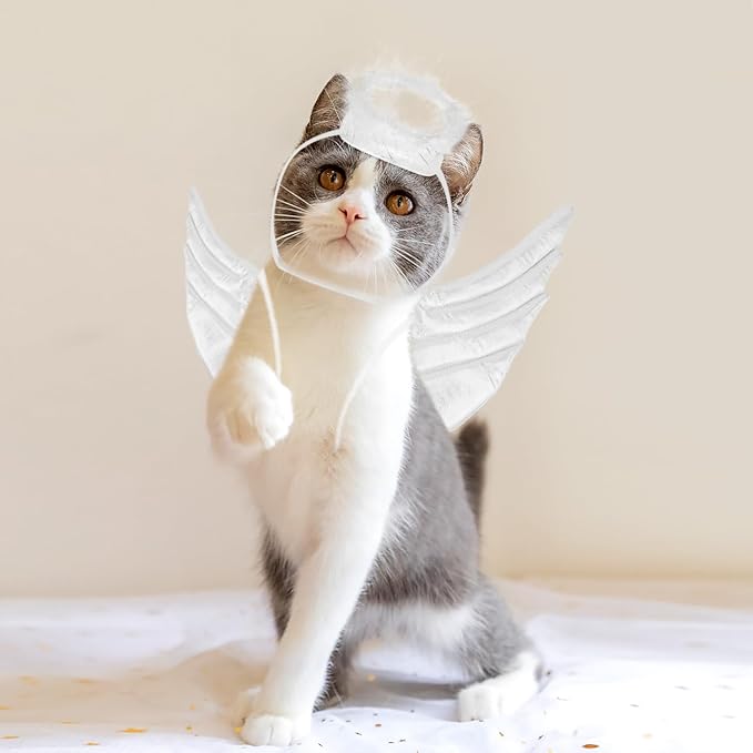 POPETPOP Pet Dog Cat Halloween Costume Angel Wings Shape Clothing - Creative Pet Cat Makeover Clothes for Halloween Festival Party Special Events - Pet Clothes Supplies - Size L (White)