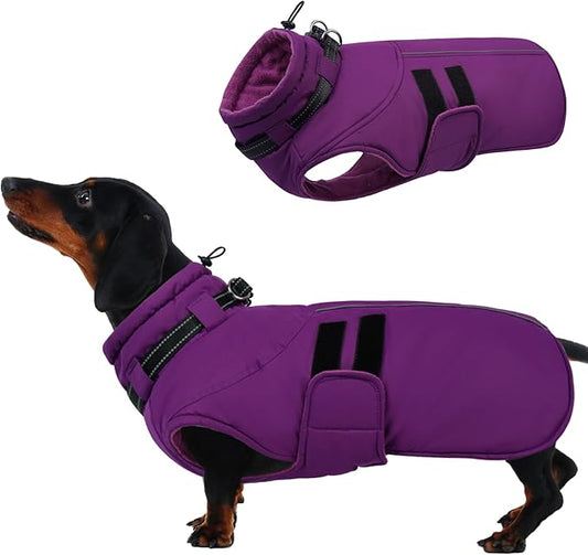 IECOii Small Dog Coat, Waterproof Dog Snow Jacket with Built in Collar, Thermal Fleece Lined for Cold Weather, Safety Reflective Dogs Winter Coat for Nighttime Walks, Easy On/Off, Purple - M