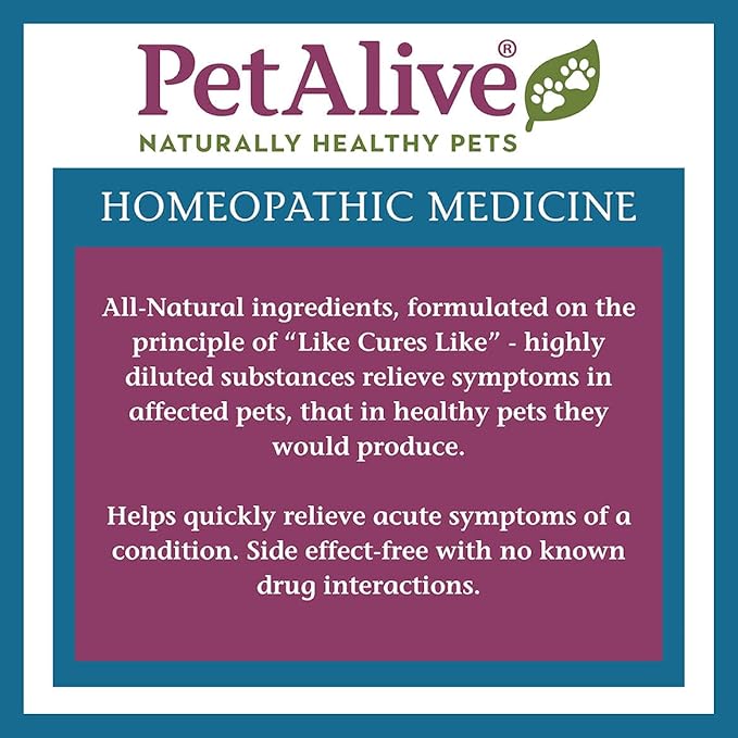 PetAlive Respiratory ComboPack for Pets - All Natural Homeopathic Remedies Relieve Symptoms of Blocked Sinuses, Colds, and Respiratory Irritation in Cats and Dogs