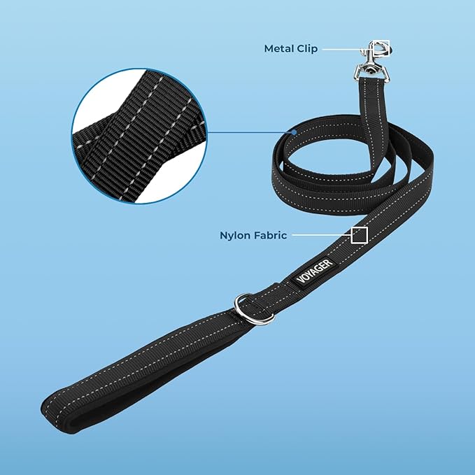 Voyager Reflective Dog Leash with Neoprene Handle, 5ft Long, Supports Small, Medium, and Large Breed Puppies, Cute and Heavy Duty for Walking, Running, and Training - Black (Leash), L