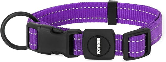 Best Pet Supplies Reflective Dog Collar with Adjustable Length, Heavy-Duty Buckle, and Strong Leash D-Ring, Training, Walking, Jogging Accessory for Small, Medium, and Large Breeds - Purple, M