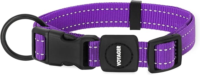 Best Pet Supplies Reflective Dog Collar with Adjustable Length, Heavy-Duty Buckle, and Strong Leash D-Ring, Training, Walking, Jogging Accessory for Small, Medium, and Large Breeds - Purple, L