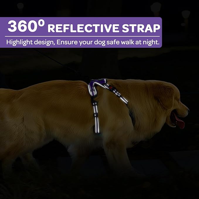 FURRYFECTION Dog Harness | No Pull Dog Harness | Reflective Oxford | Padded Handle | 4 Adjustable Straps | 2 Leash Clips | No Choke Pet Vest Harness for Small Medium Large Dogs | Purple | M