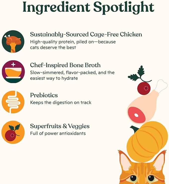 Made by Nacho Dry Cat Kibble 4lb Bag, High Protein and Grain-Friendly Premium Cat Food, Cage-Free Chicken & Pumpkin Recipe, Infused with Bone Broth for Hydration, Limited Ingredients, Single Bag