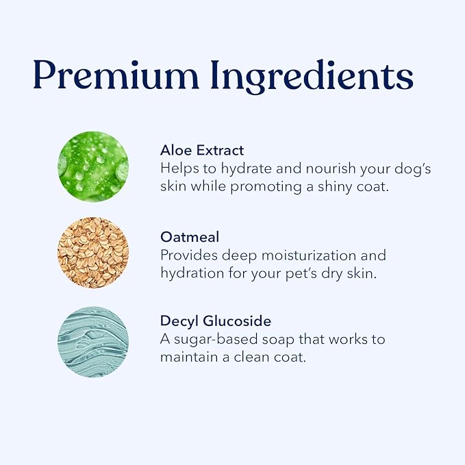 Honest Paws Dog Dry Shampoo - Waterless No Rinse Spray Formula Reducing Itch Cleanse Hydrate Nourish Dry Skin and Smelly Coat Help Decrease Odor Shedding and Allergies - Oatmeal & Lavender - 16 oz